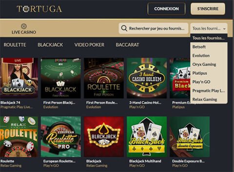 Ce que vous découvrirez dans cet examen de Tortuga Casino
